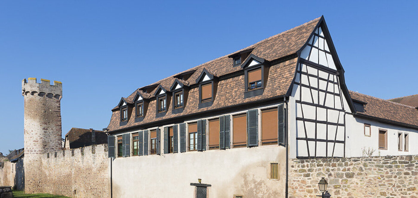 Le Gouverneur Hôtel in Obernai