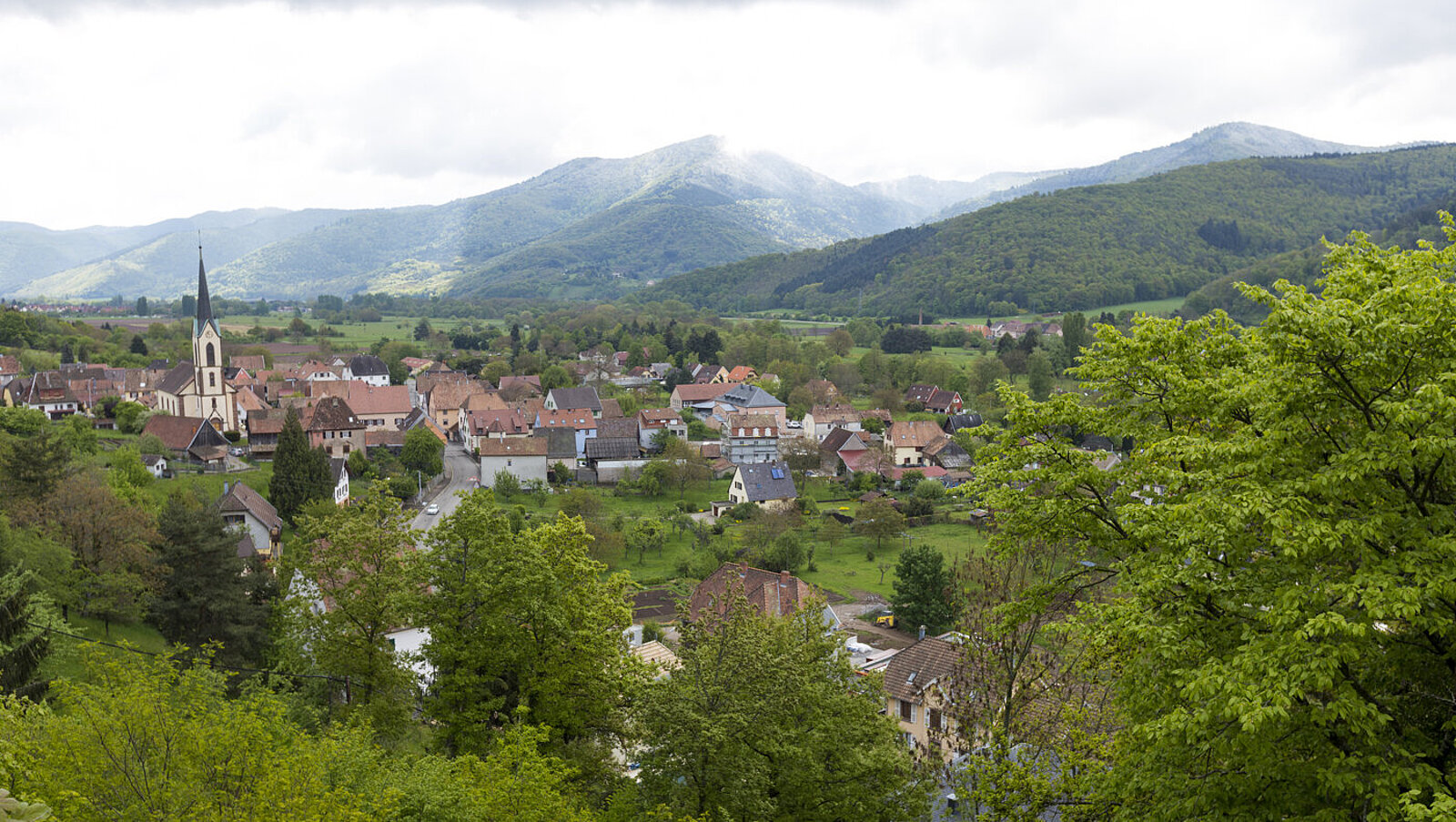 Aussicht vom Albert‑Schweitzer‑Weg über Günsbach und das Munstertal