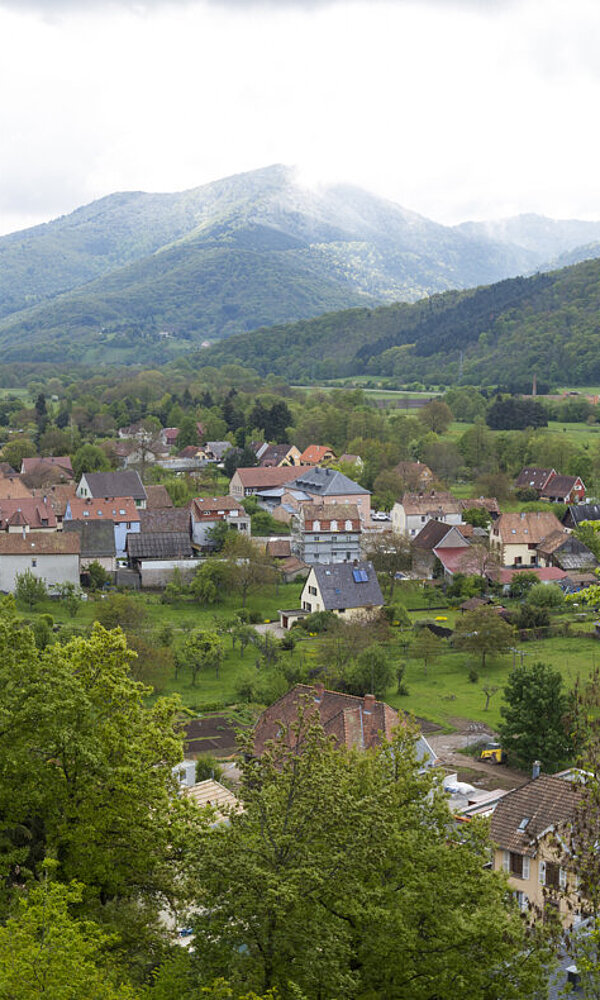 Aussicht über Günsbach im Elsass
