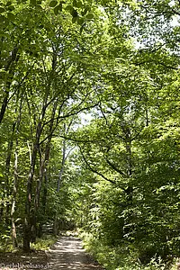 Wanderweg von Steinseltz auf den Col du Pigeonnier