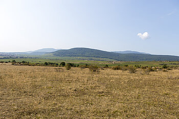 Aussicht vom Bollenberg zu den Vogesen