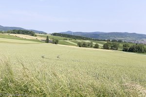 Felder auf dem Geisberg bei Wissembourg