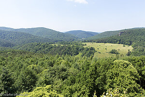 Blick bis in den Pfälzer Wald