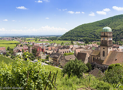 Blick über die Weinberge auf die Altstadt von Kaysersberg im Tal der Weiss