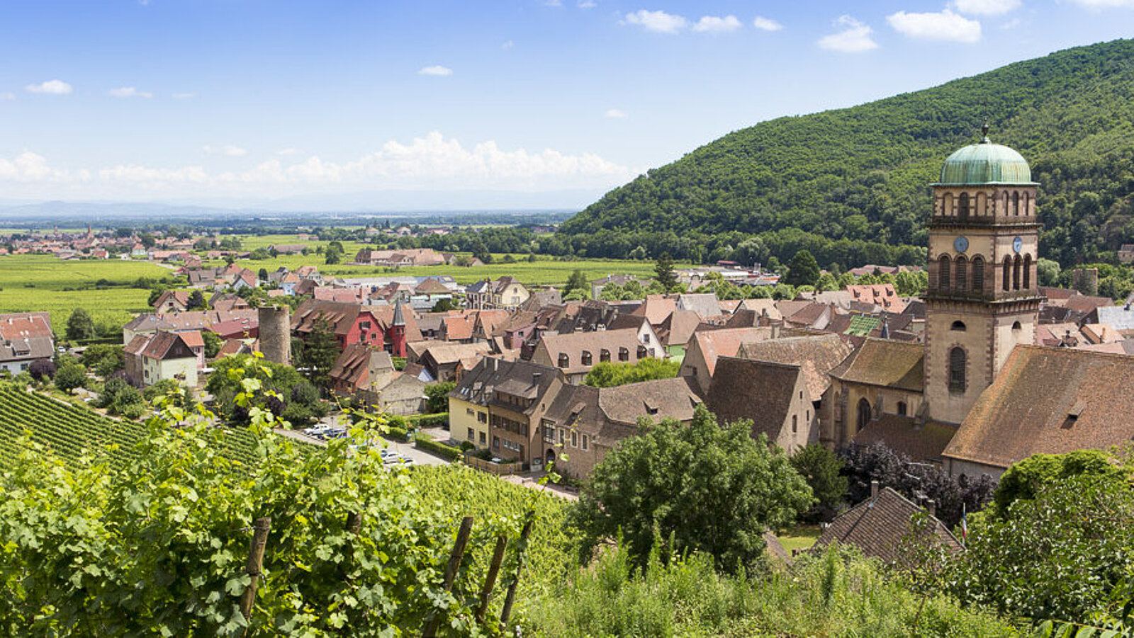 Blick von der Burgruine Kaysersberg auf die Altstadt und die Weinberge