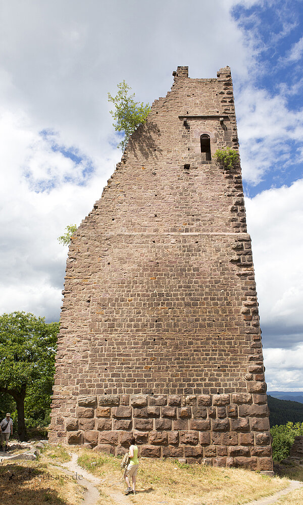 Dagsburg oberhalb Eguisheim