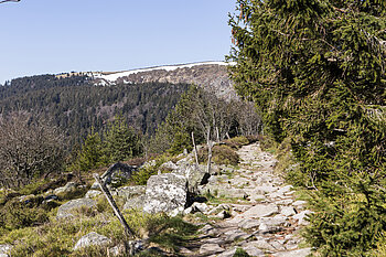 Wanderweg auf dem Kraywasen