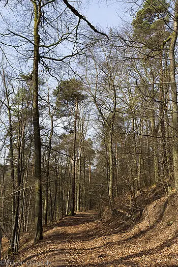 Wanderung bei der Hunebourg