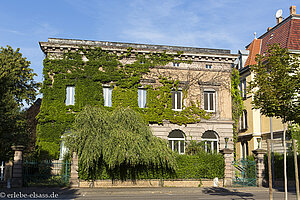 schön verwachsenes Haus in Colmar