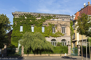schön verwachsenes Haus in Colmar