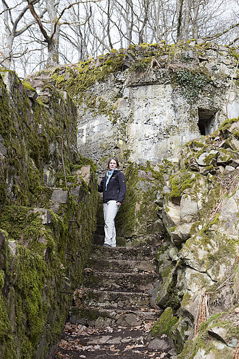 Himmelsleiter am Hartmannswillerkopf