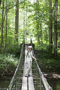 Hängebrücke über den Oberriedgraben im Illwald