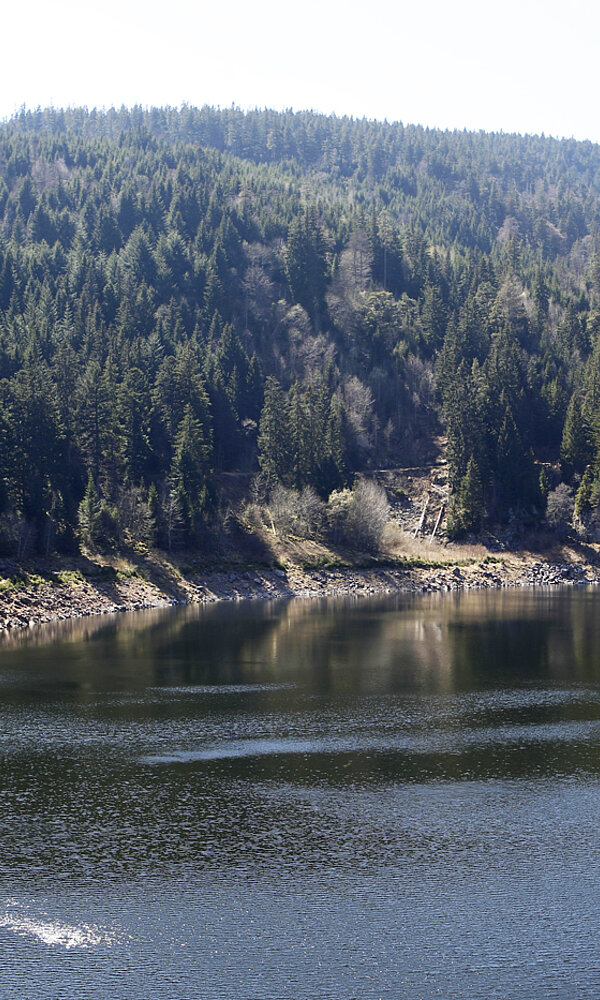 Drei-Seen-Wanderung ab dem Lac Noir