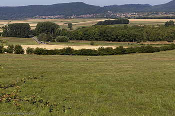 Landschaft unterhalb vom Bastberg