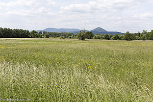 Aussicht über das Große Ried bis zur Hohkönigsburg