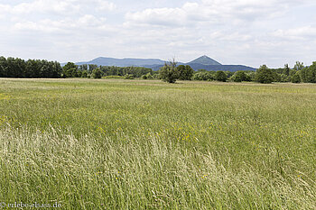 Aussicht über das Große Ried bis zur Hohkönigsburg