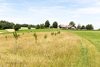 Grenze beim Ferme Ébourbette