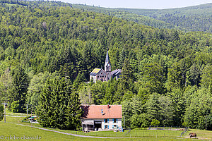 weites Hochplateau mit saftig-grünen Wiesen - Le Hohwald