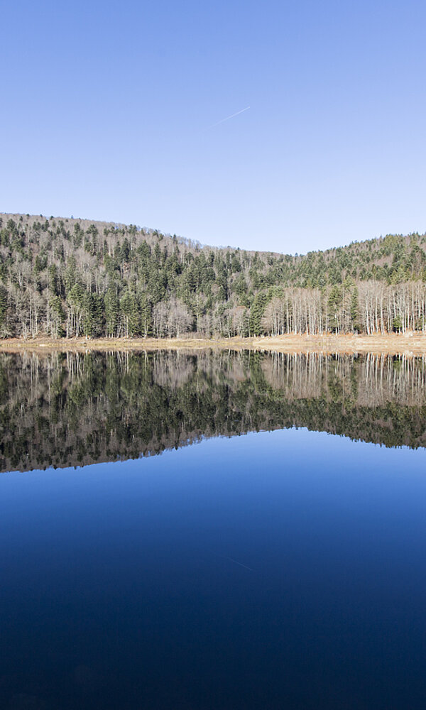 Blick über den Lauchsee im Winter