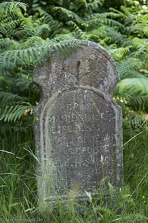 Grabstein auf dem Friedhof Salm