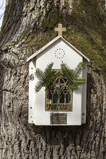 Kapelleneiche von Riquewihr