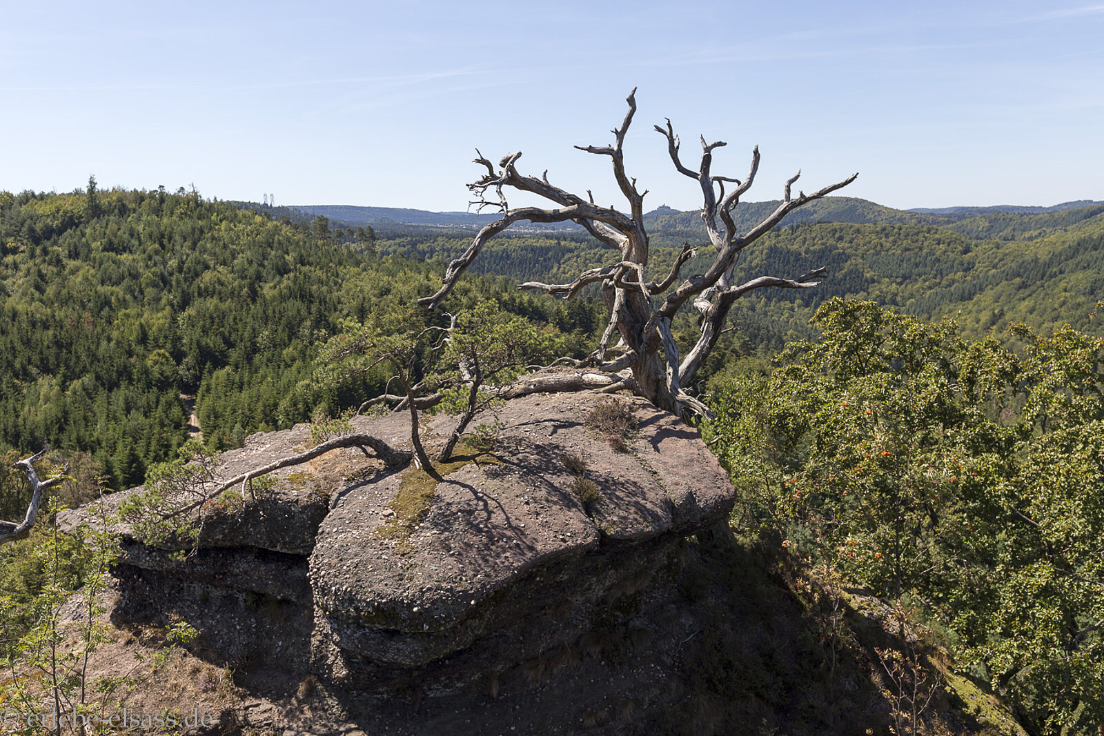 Fernsicht über den Grand Krappenfels zu den bewaldeten Vogesen
