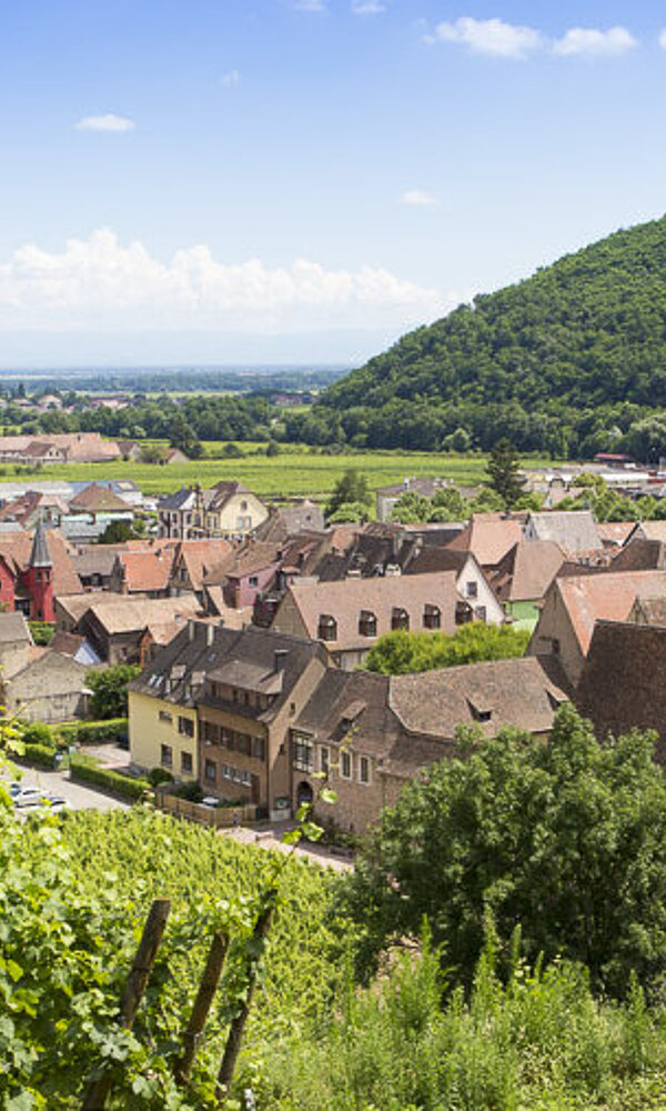 Blick von der Burgruine auf Kaysersberg