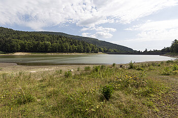 Oberer Zulauf des Lauchsees