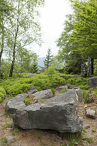 Jardin des Fées, der Feengarten