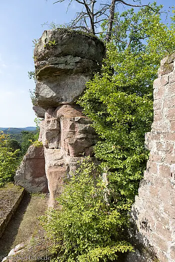 Oben auf der Burgruine Lutzelhardt