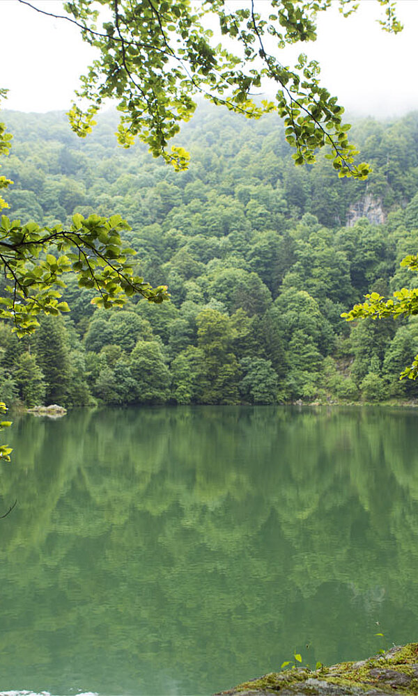 Blick über den Neuweiher