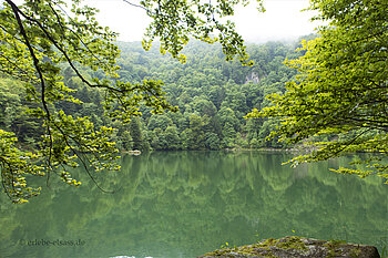 Ausblick über den Barschsee