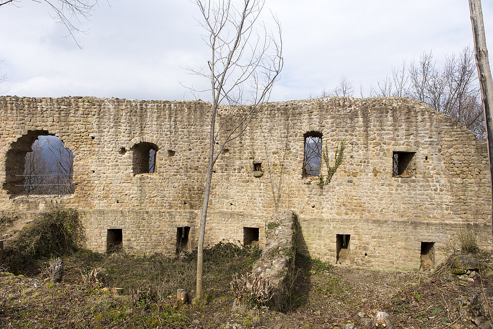 Burgruine Pflixbourg über der Fecht im Elsass