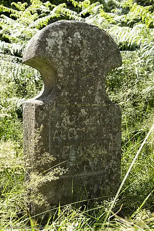 Grabstein der Mennoniten in Salm