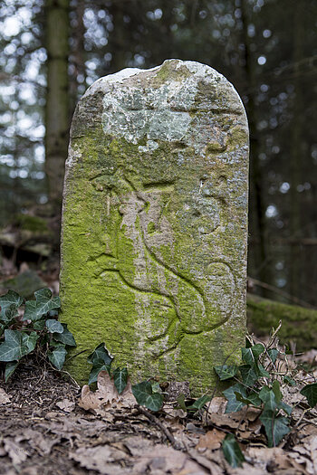 Grenzstein von 1773 auf dem Ehrbergkopf