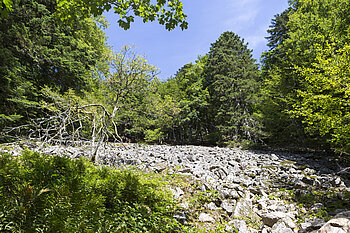 Steinhalde beim Collet Mansuy