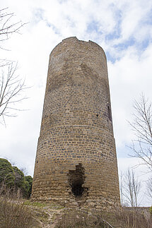 Bergfried der Pflixbourg