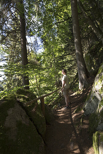 Pfad am Lac Vert oder auch Soultzeren-See