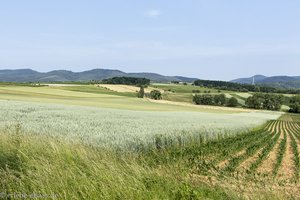 Sicht über die Felder auf dem Geisberg