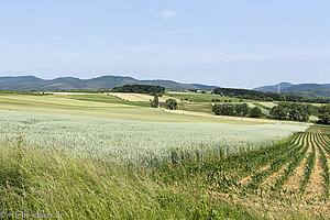 Sicht über die Felder auf dem Geisberg