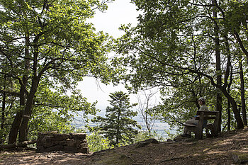 Zugang zum Kuckucksstein
