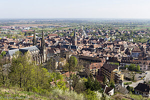 Blick vom Denkmal der Zwangsrekrutierten auf Obernai