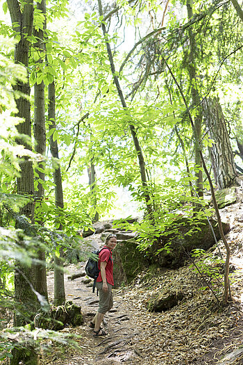Auf dem Burgenwanderweg von Eguisheim