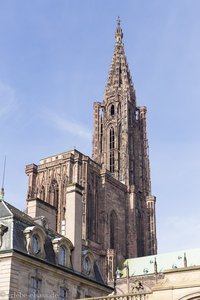 das Straßburger Münster vom Palais Rohan aus
