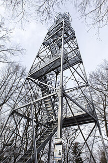 Aussichtsturm auf dem Rossberg